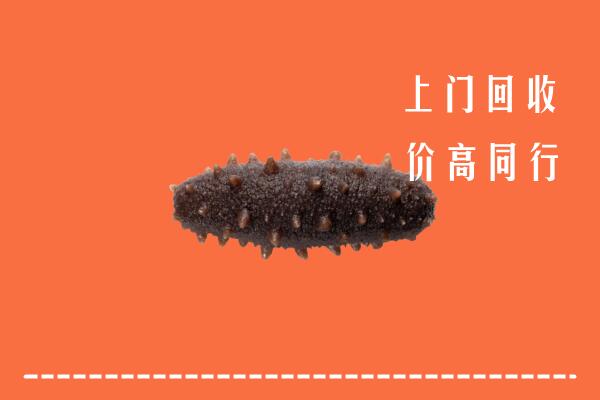 郓城县回收海参