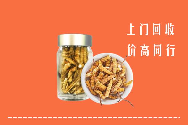 郓城县回收冬虫夏草